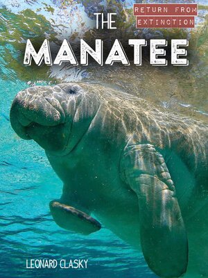 cover image of The Manatee